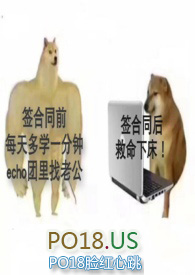 偶像成名之路作文
