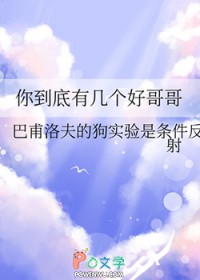 笨蛋狐狸精,你到底有几个好哥哥